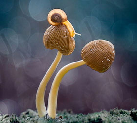 发卡平台正规的网站攻击源码